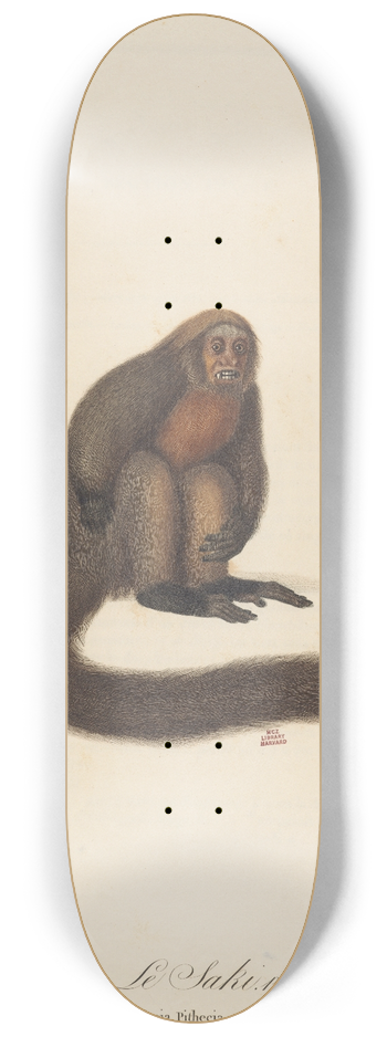 Jean-Baptiste Audebert - Le Saki 8.25 inch art skate deck