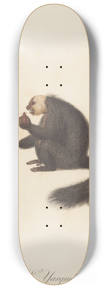 Jean-Baptiste Audebert - LYarqu 8.25 inch art skate deck