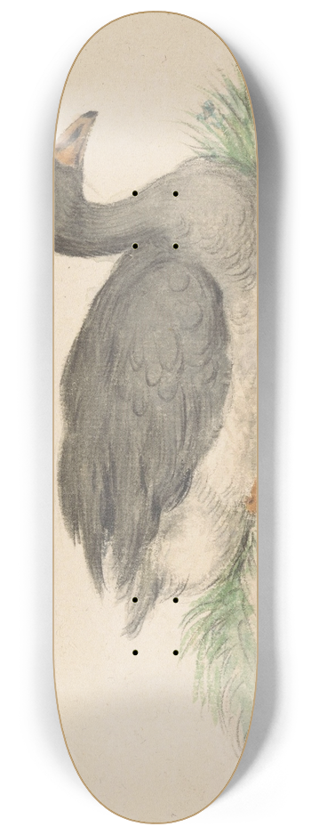 Jean Bernard - Eend, naar rechts 8.25 inch art skate deck