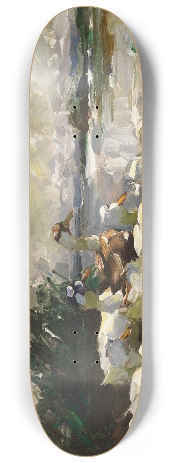 Alexander Koester - Enten am Ufer (schne Wolkenstimmung) 8.25 inch art skate deck