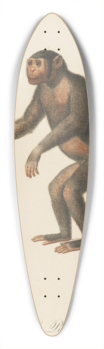 Jean-Baptiste Audebert - Le Pongo 39.3 inch art pintail longboard deck