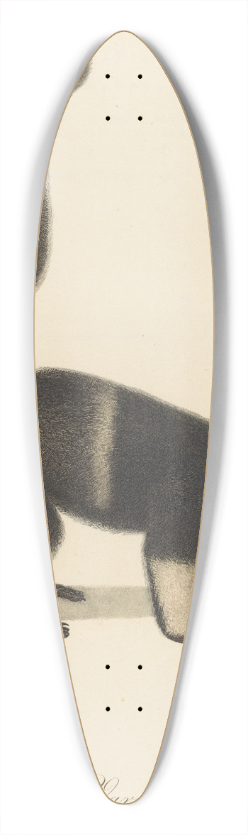 Jean-Baptiste Audebert - Le Vari varit a 39.3 inch art pintail longboard deck