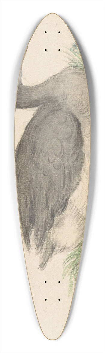 Jean Bernard - Eend, naar rechts 39.3 inch art pintail longboard deck