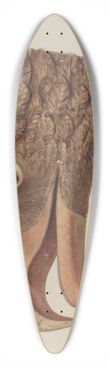 Jerome Hoxie - Eagle 39.3 inch art pintail longboard deck