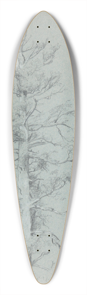 Jervis McEntee - TreeStudy 39.3 inch art pintail longboard deck