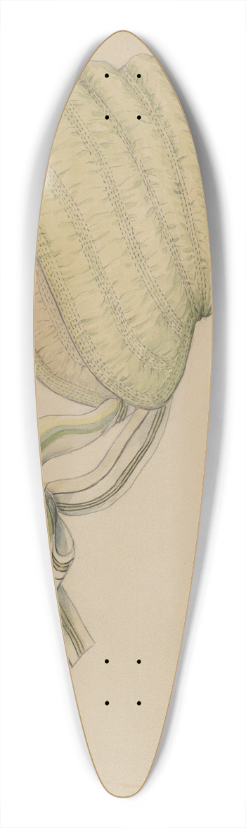 Jessie M. Benge - Bonnet 39.3 inch art pintail longboard deck
