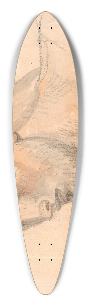Joakim Skovgaard - Studie af hoved 39.3 inch art pintail longboard deck
