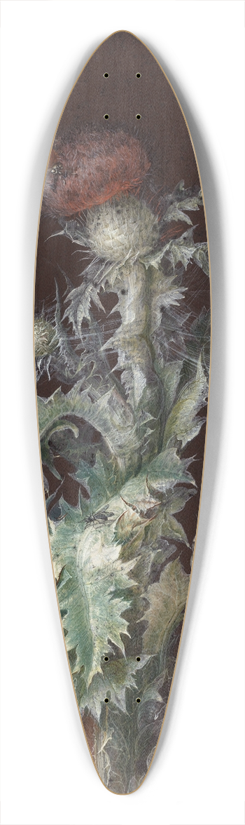 Johann Christoph Dietzsch - Thistle with Insects 39.3 inch art pintail longboard deck