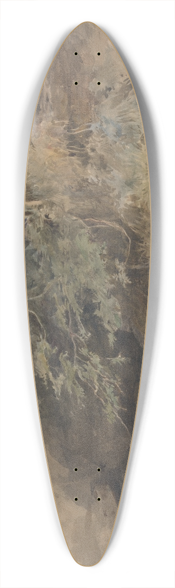 John Absolon - Trees by a Pool 39.3 inch art pintail longboard deck