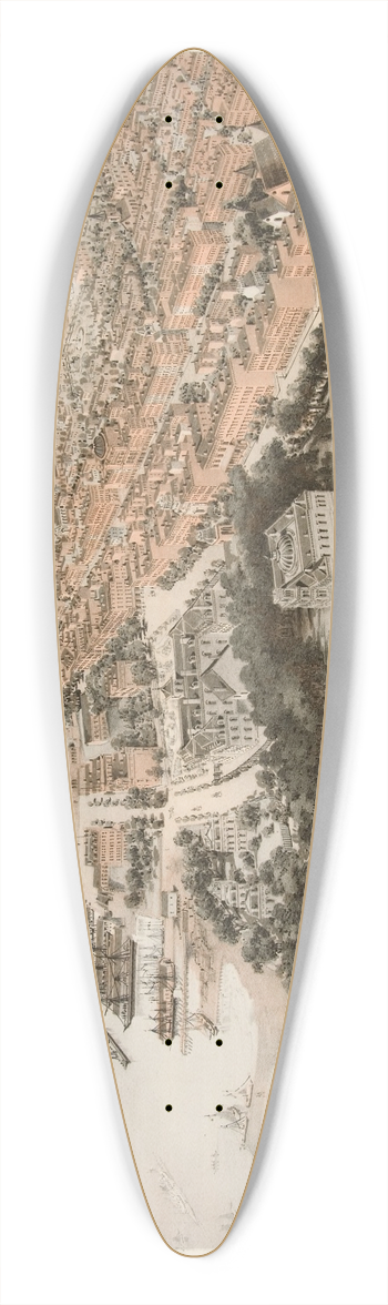 John Bachmann - Hoboken 39.3 inch art pintail longboard deck