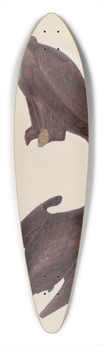 John Collins - Eagle 39.3 inch art pintail longboard deck
