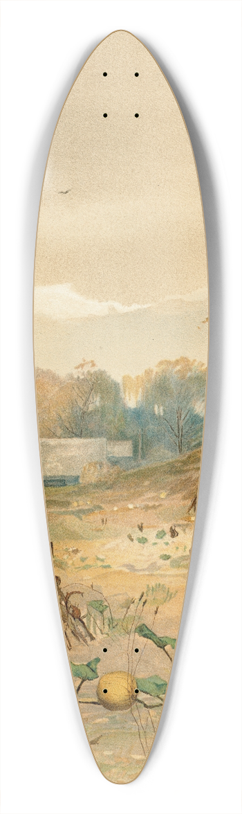 John Francis Murphy - October 39.3 inch art pintail longboard deck