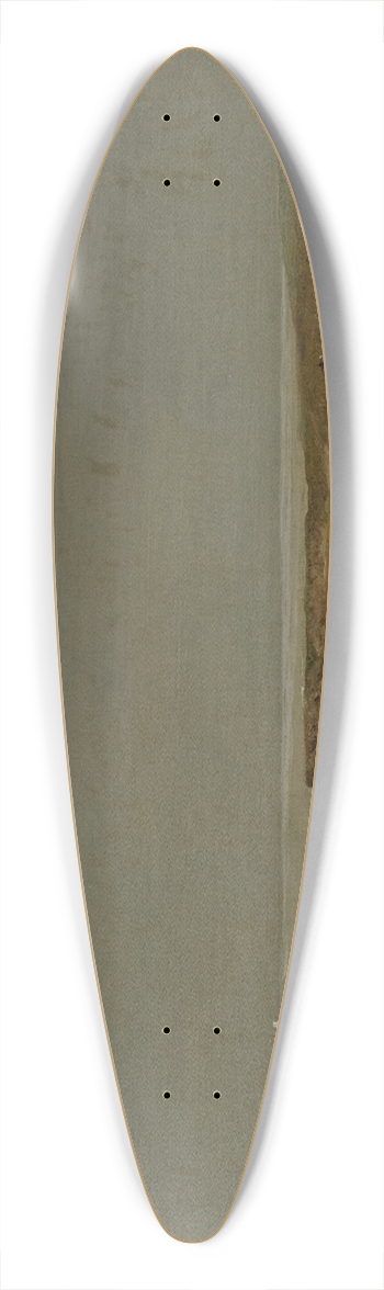 John Frederick Kensett - Coast Scene 39.3 inch art pintail longboard deck