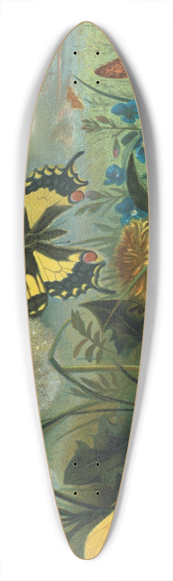 John George Wood - Erycinids 39.3 inch art pintail longboard deck