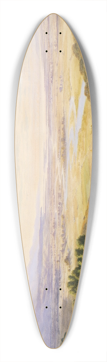 John Gully - Landscape, Nelson 39.3 inch art pintail longboard deck