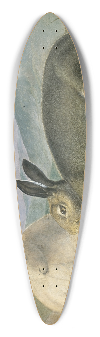 John James Audubon - Arctic Hare 39.3 inch art pintail longboard deck
