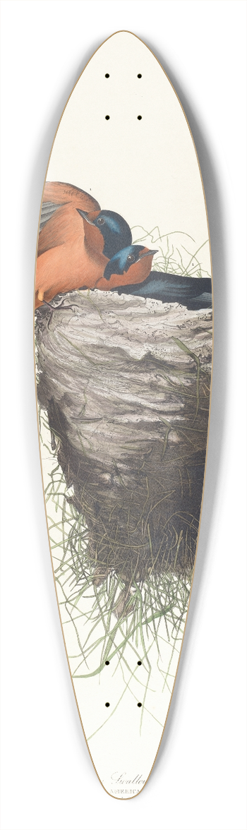 John James Audubon - Barn swallow 39.3 inch art pintail longboard deck