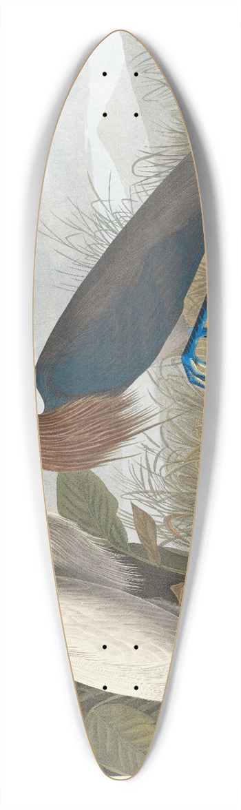 John James Audubon - Purple heron 39.3 inch art pintail longboard deck