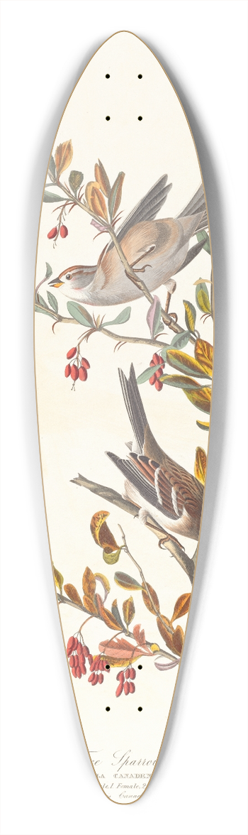 John James Audubon - Tree sparrow 39.3 inch art pintail longboard deck