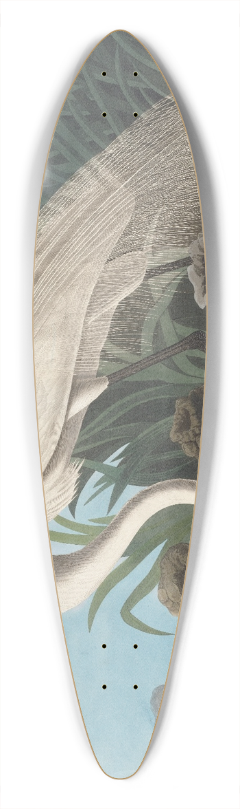 John James Audubon - White heron 39.3 inch art pintail longboard deck