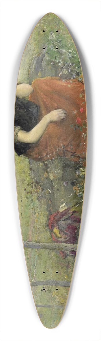 John Macallan Swan - Vluchtelinge 39.3 inch art pintail longboard deck