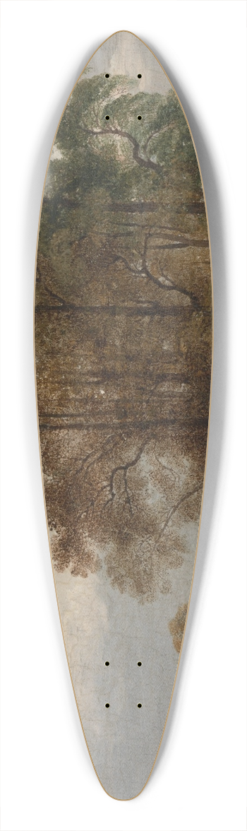 John Martin - Hyde Park 39.3 inch art pintail longboard deck
