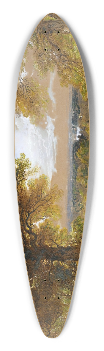 John Martin - Richmond Park, London 39.3 inch art pintail longboard deck