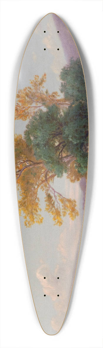 John Ross Key - Allegaheny Mt., Md. 39.3 inch art pintail longboard deck