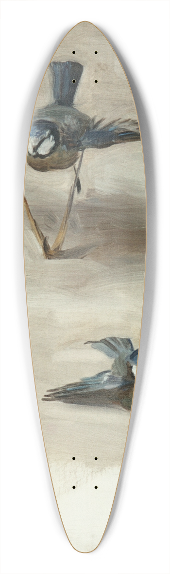 John Singer Sargent - Studies of a Dead Bird 39.3 inch art pintail longboard deck