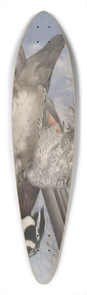 John William Hill - Hanging GameBirds 39.3 inch art pintail longboard deck