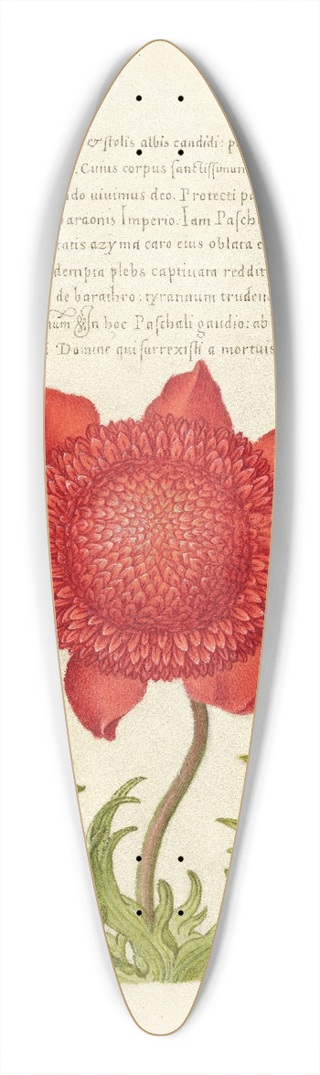 Joris Hoefnagel - Basil Thyme, Poppy Anemone, and Myrtle 39.3 inch art pintail longboard deck
