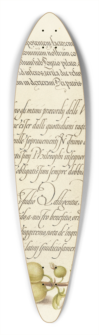 Joris Hoefnagel - European Currant 39.3 inch art pintail longboard deck