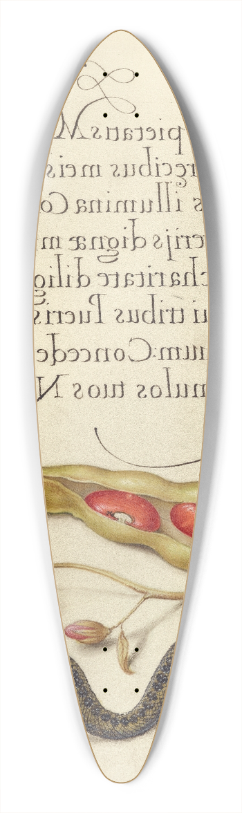Joris Hoefnagel - Kidney Bean, Poppy Anemone, and Adder 39.3 inch art pintail longboard deck