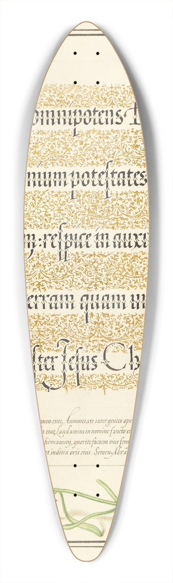 Joris Hoefnagel - Toadflax 39.3 inch art pintail longboard deck