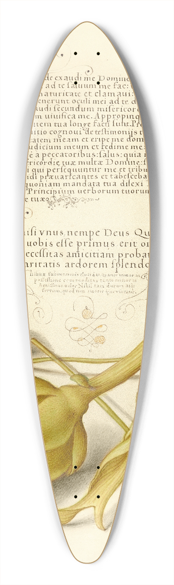 Joris Hoefnagel - Wild Pansy and Artichoke 39.3 inch art pintail longboard deck