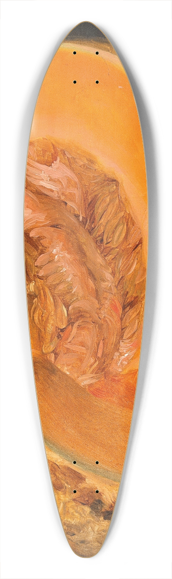 Josef Navrtil - A Pumpkin 39.3 inch art pintail longboard deck