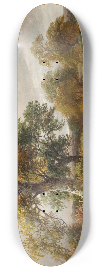 George Turner - The country path 8.25 inch art skate deck