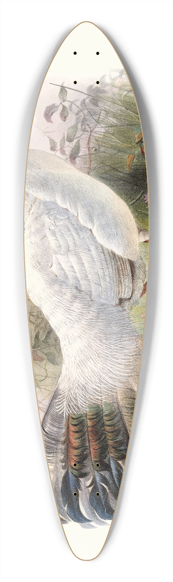 Joseph Smit - Crossoptilon Drouynii. 39.3 inch art pintail longboard deck