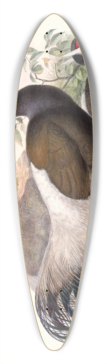 Joseph Smit - Crossoptilon mantchuricum. 39.3 inch art pintail longboard deck