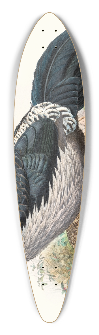 Joseph Smit - Euplocomus albo-cristatus. 39.3 inch art pintail longboard deck