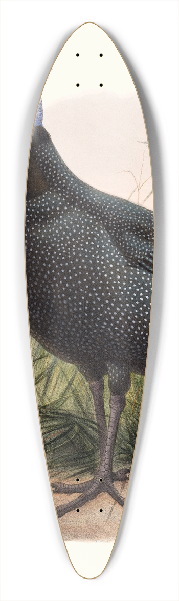 Joseph Smit - Numida Granti. 39.3 inch art pintail longboard deck