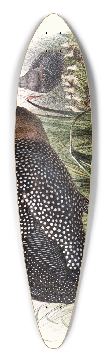 Joseph Smit - Numida meleagris. 39.3 inch art pintail longboard deck