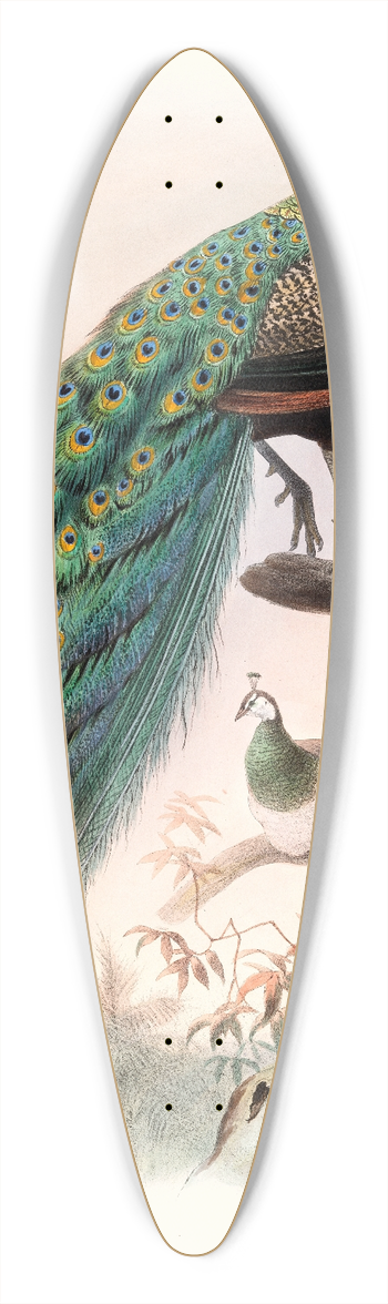 Joseph Smit - Pavo cristatus. 39.3 inch art pintail longboard deck