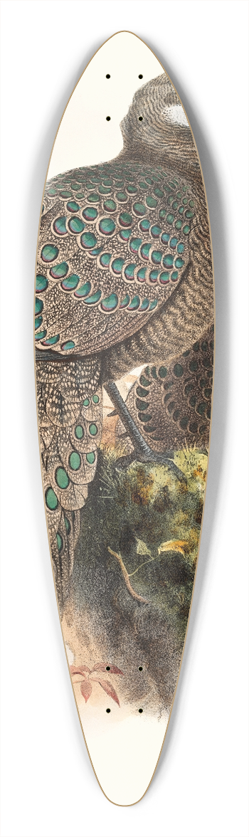 Joseph Smit - Polyplectron thibetanum. 39.3 inch art pintail longboard deck