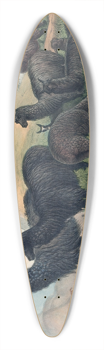 Joseph Wolf - The Alpaca 39.3 inch art pintail longboard deck