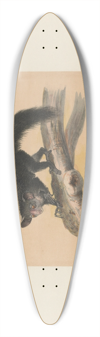 Joseph Wolf - The Aye-Aye 39.3 inch art pintail longboard deck
