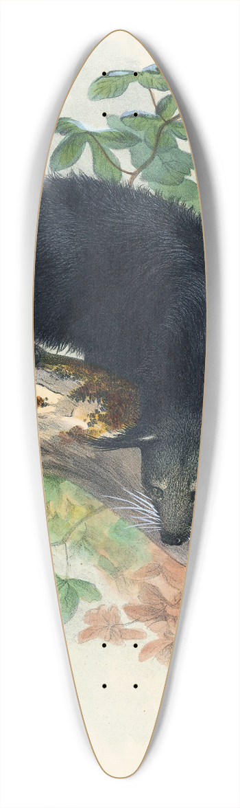 Joseph Wolf - The Binturong 39.3 inch art pintail longboard deck