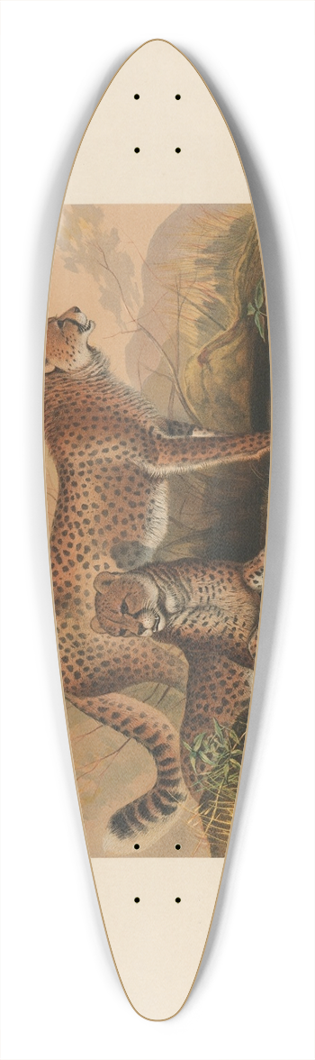 Joseph Wolf - The Cheetah 39.3 inch art pintail longboard deck