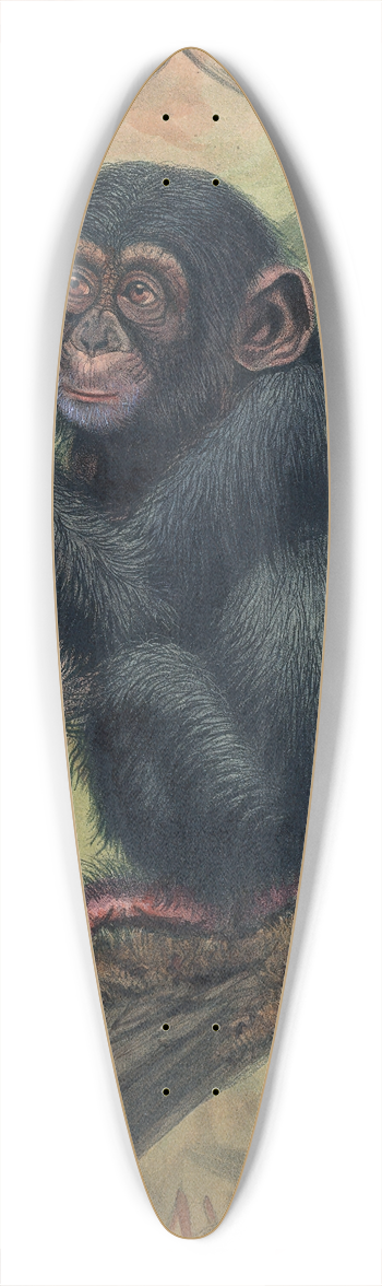 Joseph Wolf - The Chimpanzee 39.3 inch art pintail longboard deck