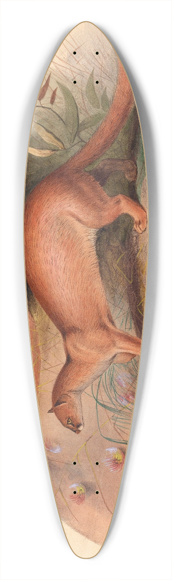 Joseph Wolf - The Eyra 39.3 inch art pintail longboard deck